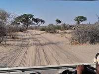 Wir fahren in den Makgadikgadi Pans Park